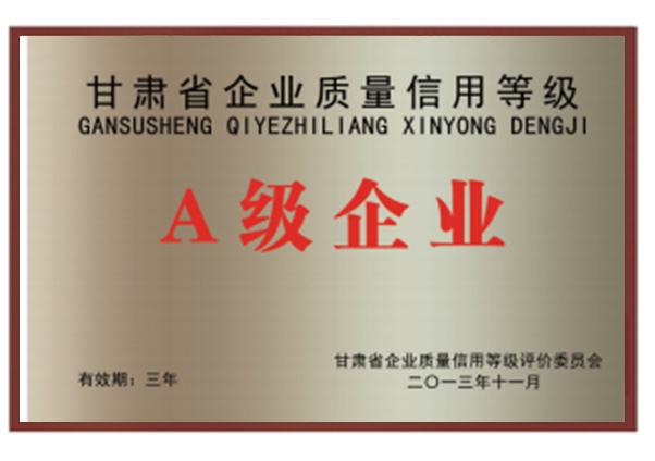 甘肅A級企業