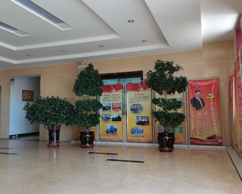 公司內部展示