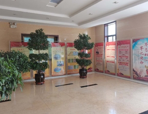 公司大廳展示